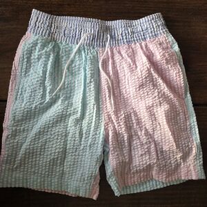 Crewcuts Blue and White Striped Swim Shorts